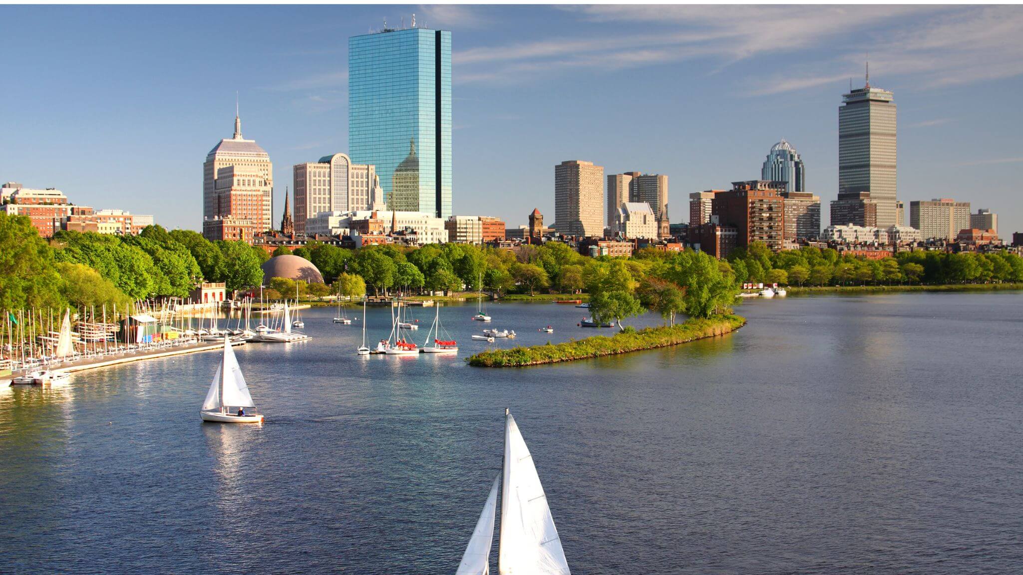 Our Mission & Values | SFE Partners